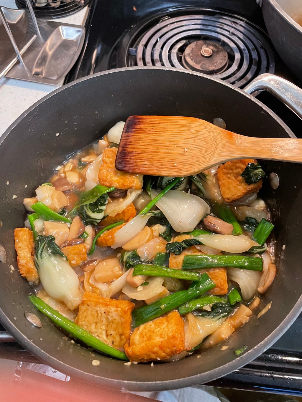 Braised Tofu in Brown&nbsp;Sauce