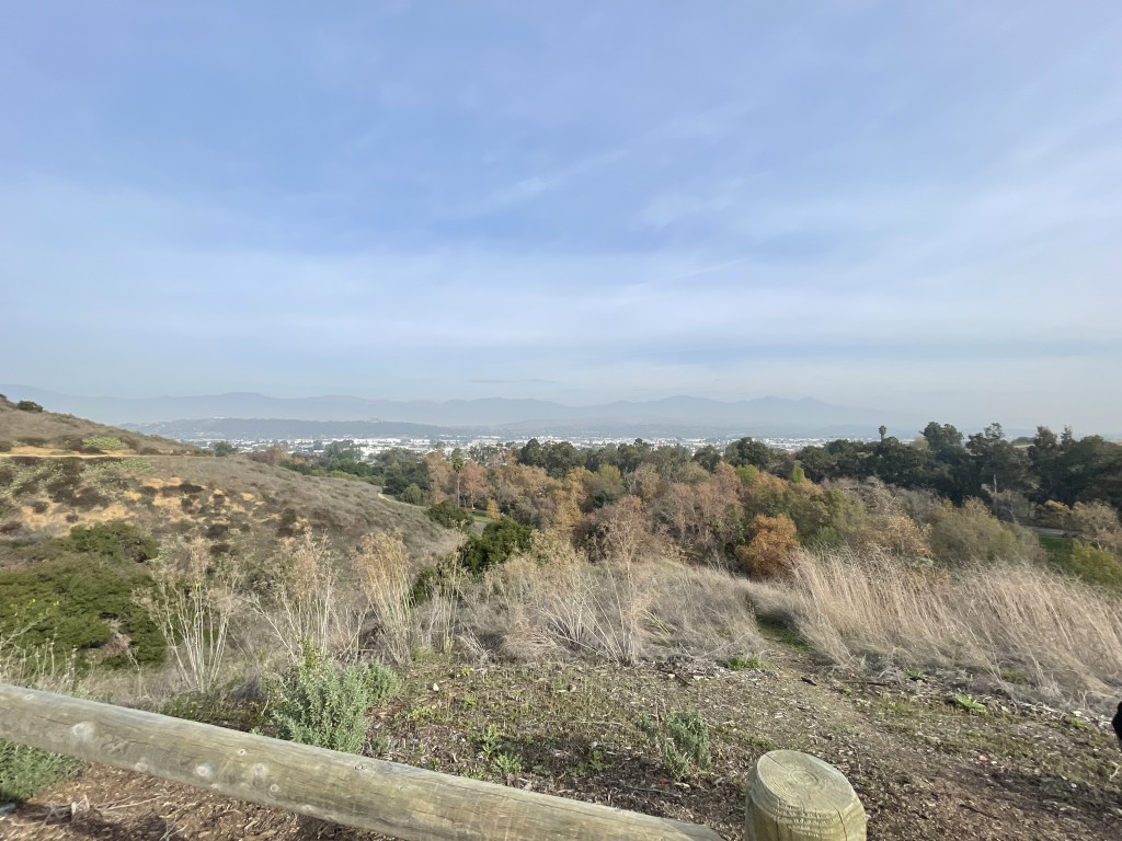 The Space Between: 2023 and&nbsp;2024